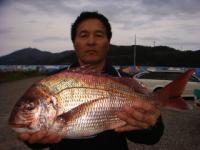 ���y���@�ł���@�^��Q�D�V�����@�`���o�G�`