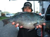 ���@�U����N���@�P,�U�L��