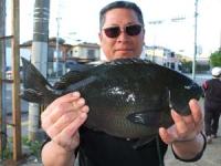 �����@���삳��N���@�P,�T�L��