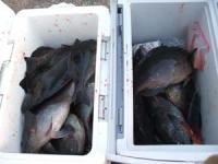 ���x�@���삳��U�O�O�`�P,�T�L���@�Q�O��