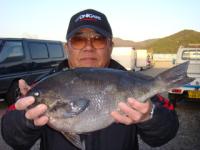 �����@���q����@�N���P�D�W�T�����@�`�^�c�`