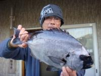 �{��@傌�����@�Α�Q�D�O����