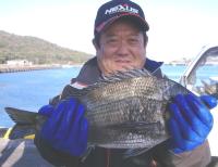 �򓇁@�V�����@��(1.6kg)