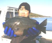 �򓇁@�������@��(1.25kg)