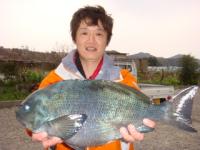 �����@���Q����@�N���P�D�X�T�����@�`�g���Y�i�`