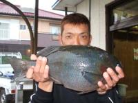 ���@��񂽂낤�N�@�N���@�Q�L���I