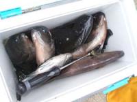 �����@��{����@�N���@�P�O��