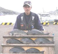 ���޴�@�e�n���@��(5�`1.4kg)