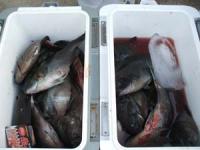 ���@�Ԗ؂���@��񂽂낤����N�[���[�Q���^��