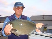 ���@�͖삳��@�I�E�i�E�K�I�@�P�D�V�����@�S�U�����@�`�n�`�`