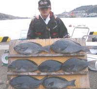 ������ނ荲�c��(1�`2.2�s 50cm)