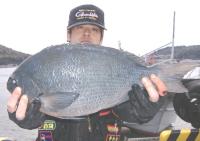 ���c���@50�����@2.2����