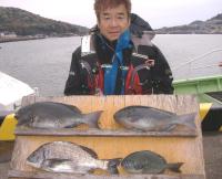 �Lʴ�@��ނ�@�͖쎁(1.3�`1.5�s) 