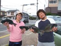 ���삳��@�Ɛ򂳂�̒މ�