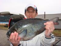 ���y���@���c����@�N���Q�����@�S�X�����I�I�`�g�r�o�G�`