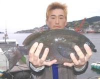 ���c���@1.3����