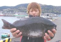 �������@1.3����