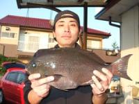 �����@���c����@�N���@�P,�V�L��