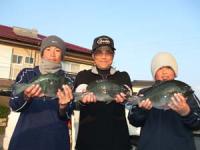 �����@���삳��e�q�U�O�O�`�P,�R�L���@�X��