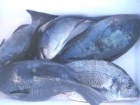 �ɒB���@��,��(1lg)