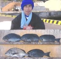 �򓇁@���c����,��(1kg�O��)