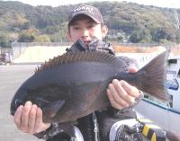 ����޴�@��ނ�@�b�㎁��(2.1kg50cm)