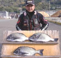 ����@��ނ�@�A�c��(1.7�`1.9�s)