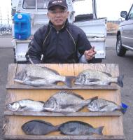 ������ނ�@���c���@��,��,��޷