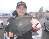 ������ނ� ������(1.7�s)