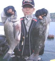 ������ ������(1.3k)��(1.2k)