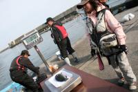 �O�c����