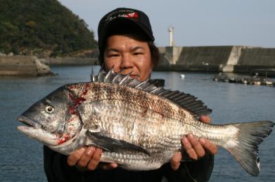 �����̃f�J�`�k3.66����