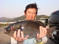 �F�{�@�唗����@�N���@�T�O�����@�P�D�X�����@�`�C�N�C�`