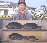 ������ ��(1�`1.7�s)