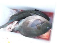 �����@�g������N��1,5�L���@�W�O�O�@�@2��