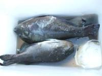 �{��@��z����N���@�P�C�T�`�P,�V�L���@