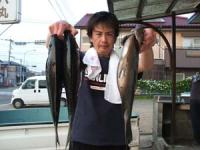 ���@�q�삳��