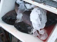 ���@�q�삳��N���Q�`�Q,�Q�L���@�R��