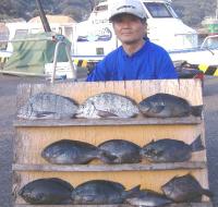 �򓇁@��؎�(6�`1.2k)