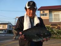 �{�c����N���@�Q,�Q�L��