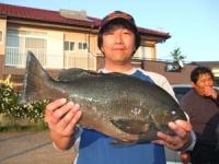 �����@�㓡����N���@�Q,�P�L��