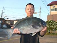 �R�肳��@�N���@�@�Q,�S�L��