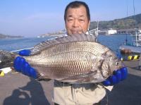 �򓇁@���ʎ�(2.2�s�@50cm) 