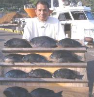  �򓇁@�Q����(6�`1.6�s)