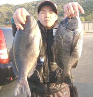 ��ʴ��ށ@��q��(1.2�`1.7�s)