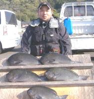 ������ށ@���؎�(1.1�`1.7�s)