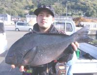 ������ލ��c��(2.2k��50cm)