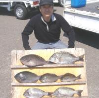 �Lʴ��ނ� �͖쎁(6�`1.6�s) 