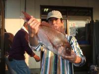 �{��@�b�コ��}�_�C