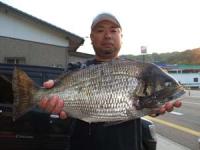 �c粂���f�J�`�k�I�@�R�L��